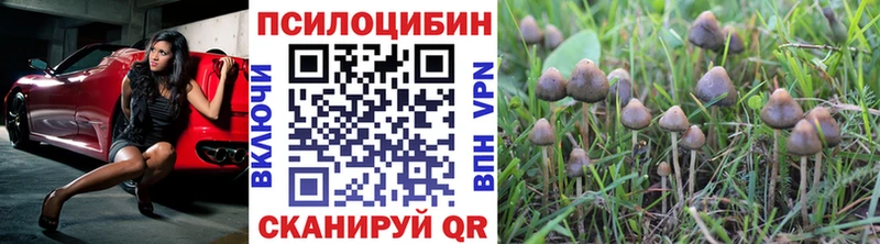 хочу наркоту Богданович Псилоцибиновые грибы прущие грибы